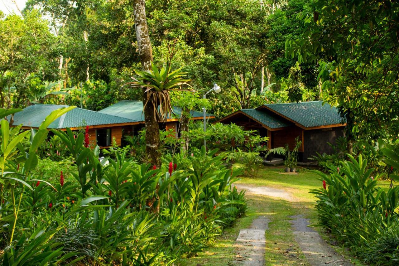 Eden Organic Farm & Bungalows La Fortuna Eksteriør bilde
