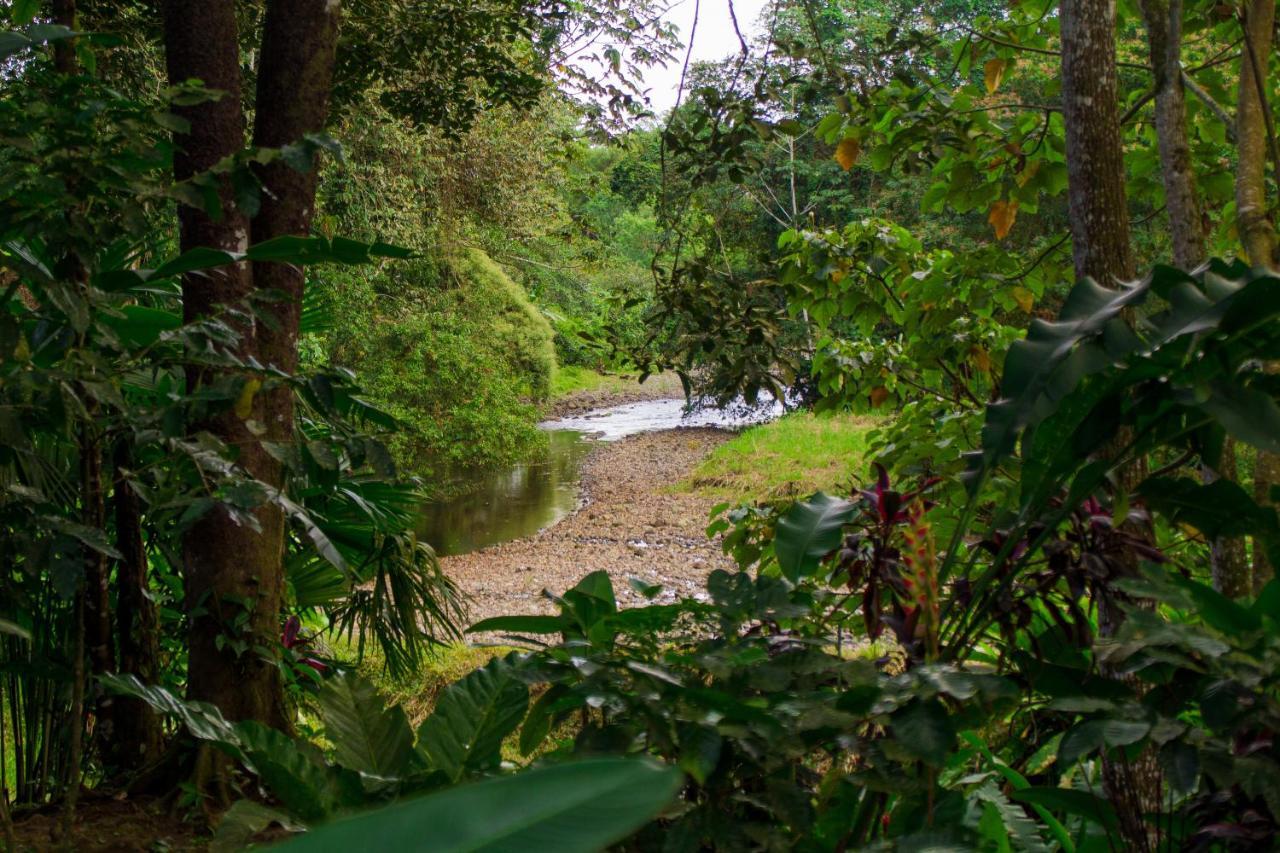 Eden Organic Farm & Bungalows La Fortuna Eksteriør bilde