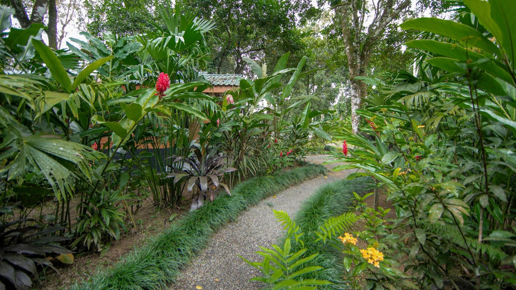 Eden Organic Farm & Bungalows La Fortuna Rom bilde
