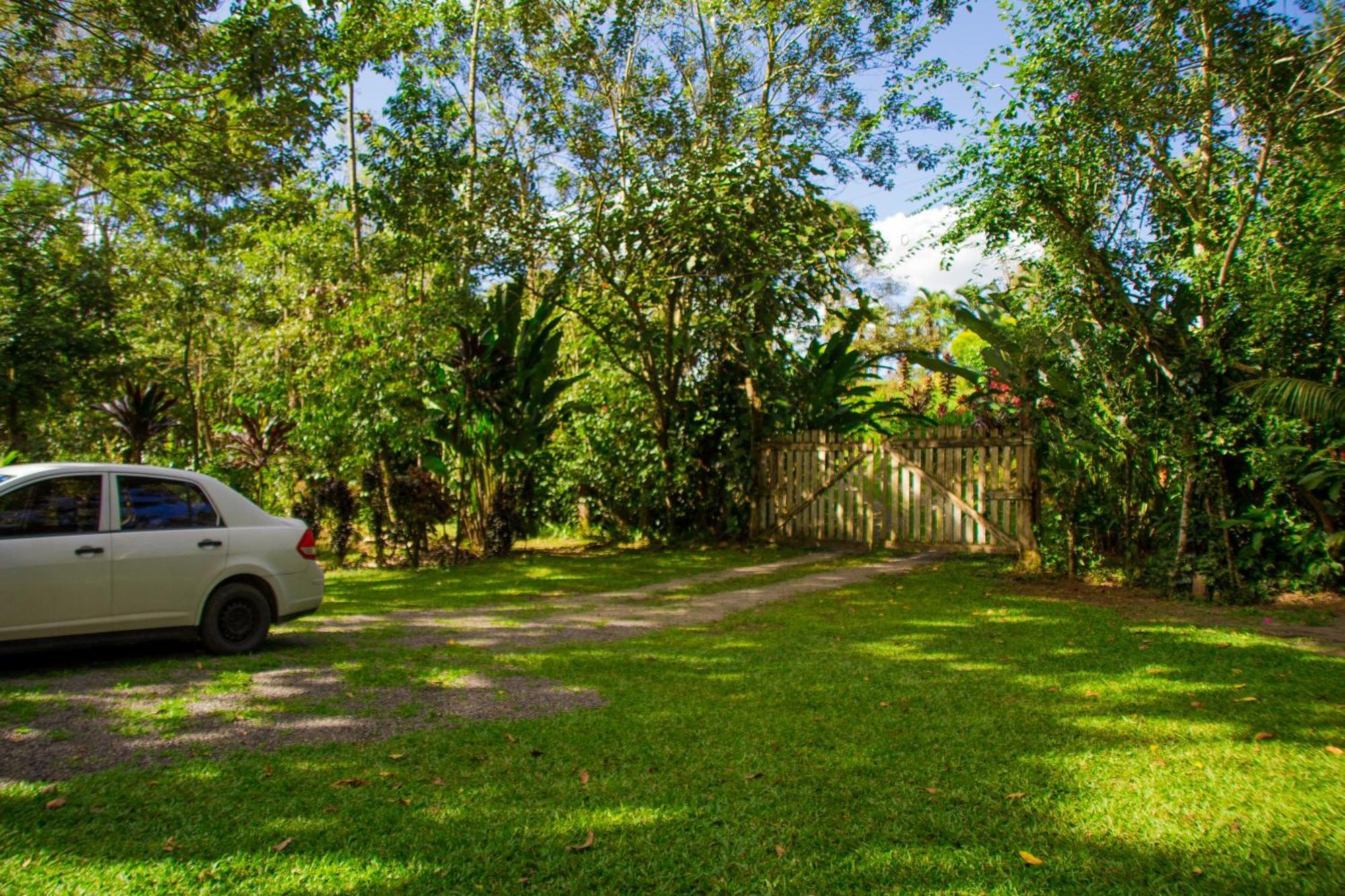 Eden Organic Farm & Bungalows La Fortuna Rom bilde